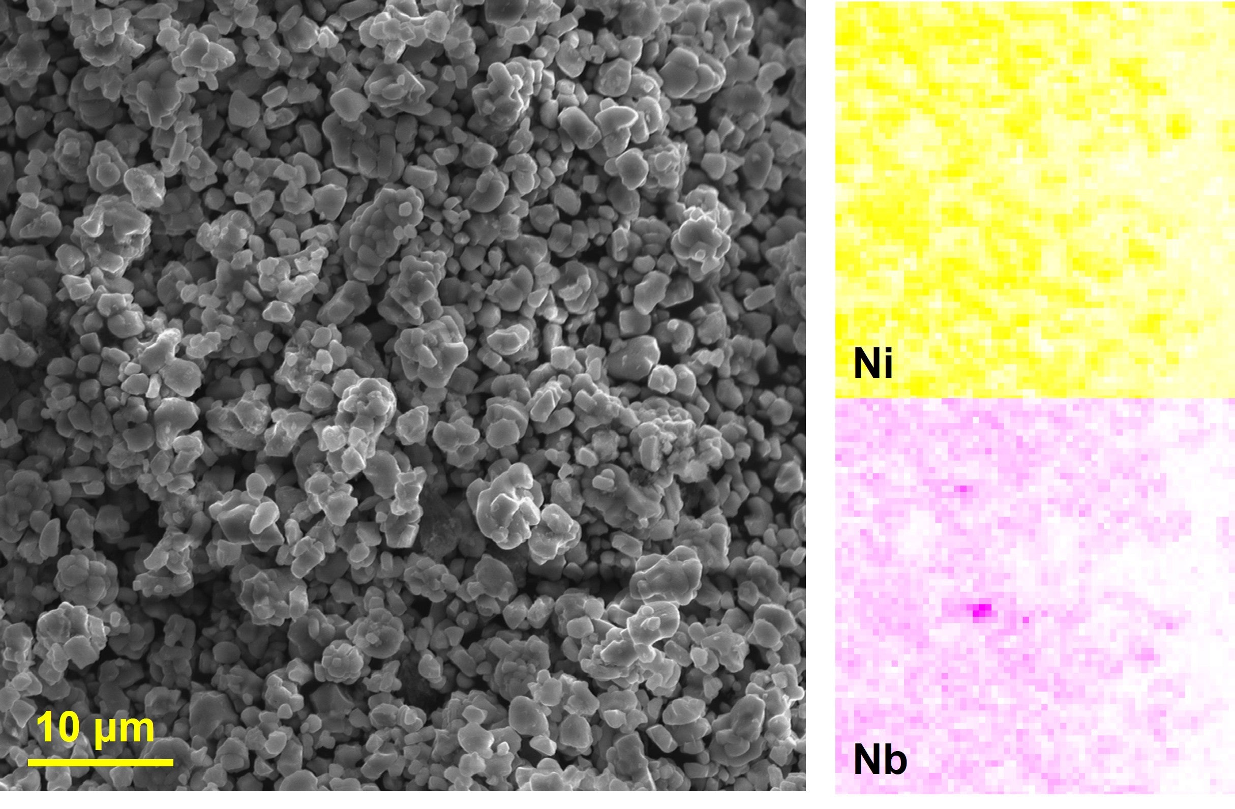 CAM] Lithium Niobium Oxide coated Single Crystal Ni90 Cathode