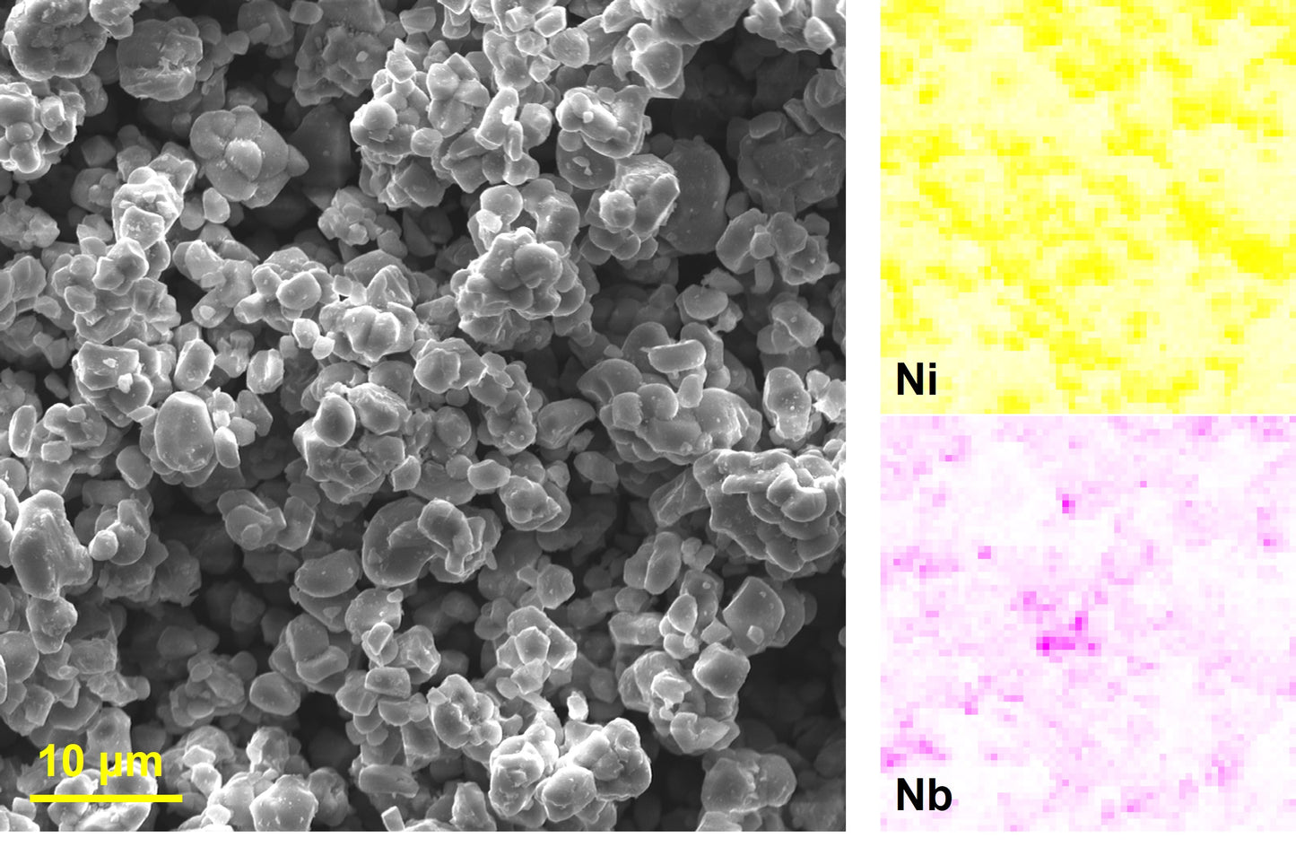 [CAM] Lithium Niobium Oxide coated Single Crystal NMC631 Cathode Powder