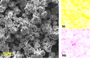 [CAM] Lithium Niobium Oxide coated Single Crystal NMC631 Cathode Powder