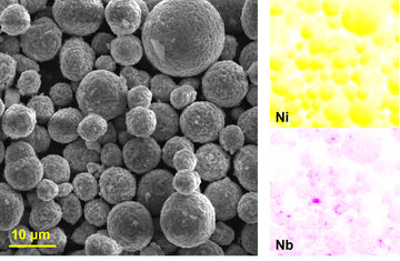[CAM] Lithium Niobium Oxide coated NMC811 Cathode Powder
