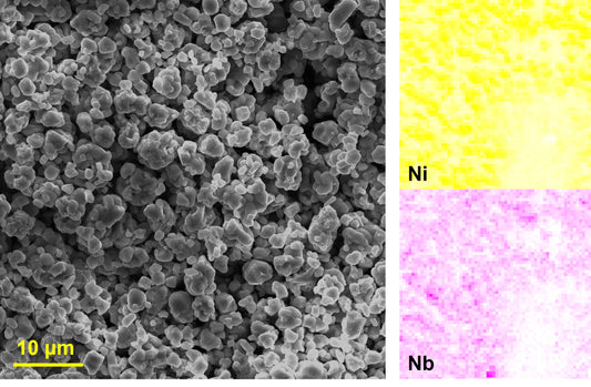 [CAM] Lithium Niobium Oxide coated Single Crystal Ni82 Cathode Powder