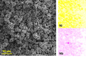 [CAM] Lithium Niobium Oxide coated Single Crystal Ni90 Cathode Powder